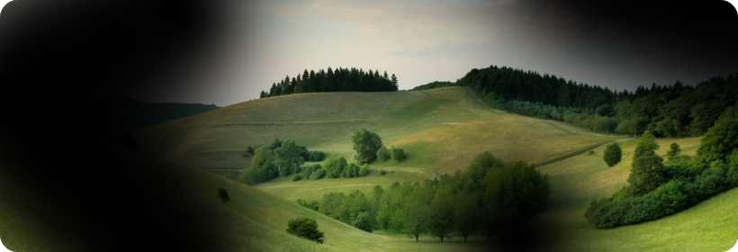 광주광역시시각장애인연합회에서 제공하는 당뇨망막증 시야 예시 사진