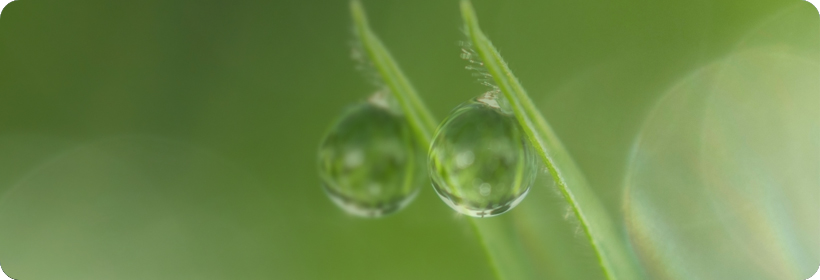 광주광역시시각장애인연합회에서 제공하는 복시 시야 예시 사진