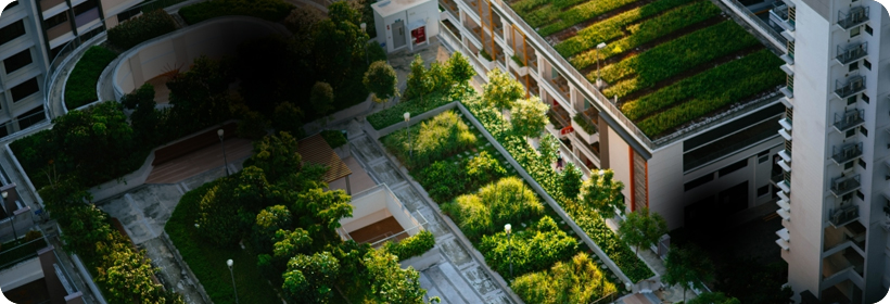 광주광역시시각장애인연합회에서 제공하는 황반변성 시야 예시 사진