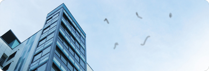 광주광역시시각장애인연합회에서 제공하는 비문증 시야 예시 사진